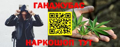 прущие грибы Лесосибирск