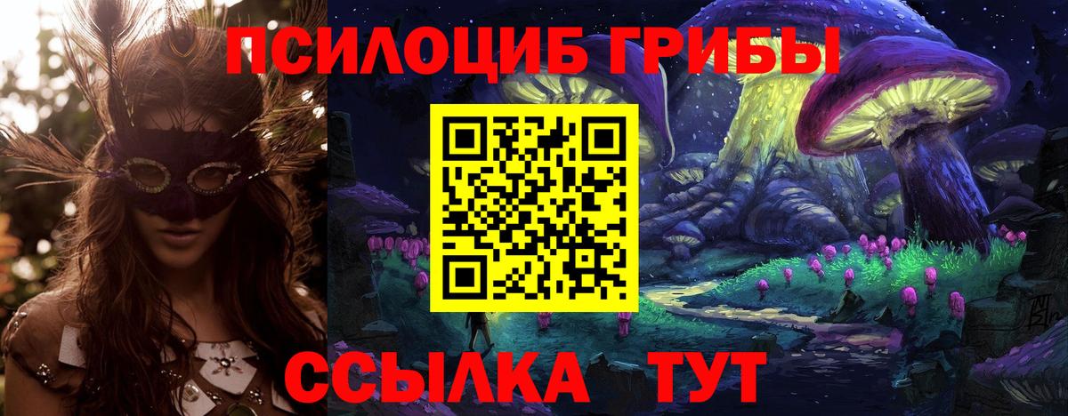 Галлюциногенные грибы Psilocybine cubensis Димитровград
