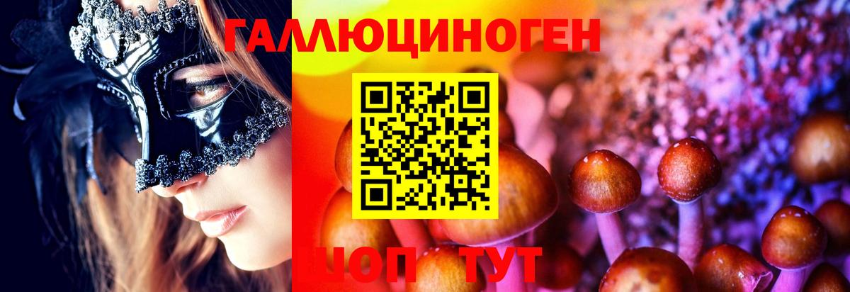 Димитровград  Галлюциногенные грибы ЛСД  Вход с VPN  Псилоцибиновые грибы мицелий 
