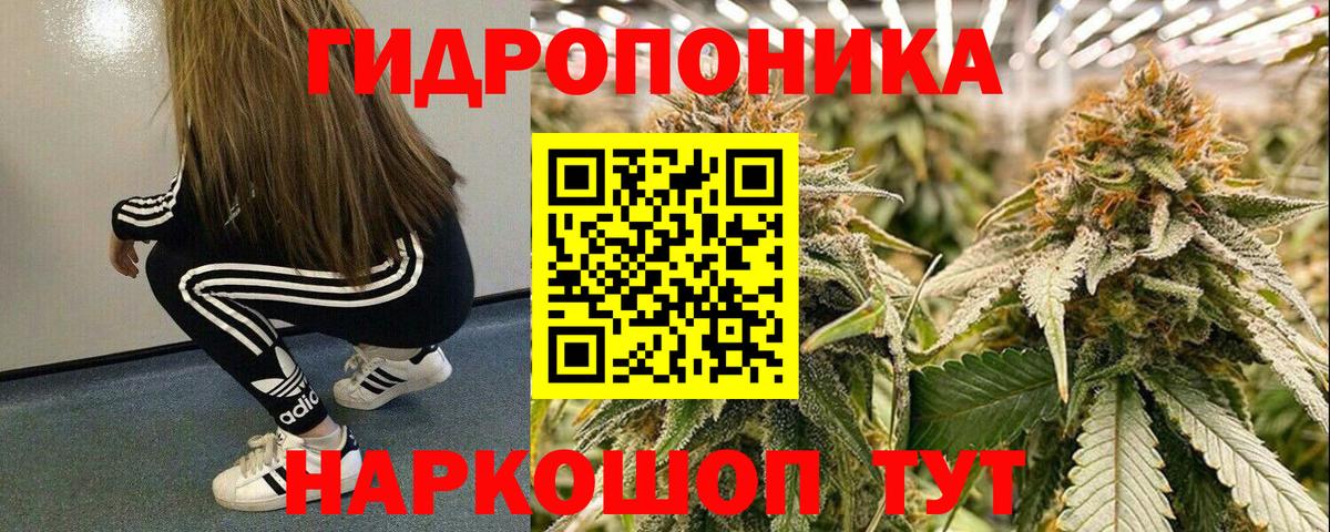 Каннабис White Widow Димитровград